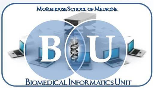 BIU Logo